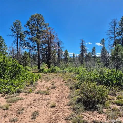1620 Wildcat Canyon Road Montrose, CO 81403