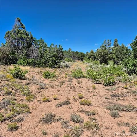 1620 Wildcat Canyon Road Montrose, CO 81403
