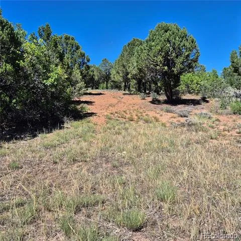 1620 Wildcat Canyon Road Montrose, CO 81403