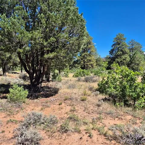 1620 Wildcat Canyon Road Montrose, CO 81403