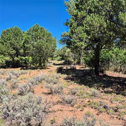 1620 Wildcat Canyon Road Montrose, CO 81403