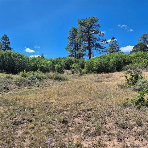 1620 Wildcat Canyon Road Montrose, CO 81403