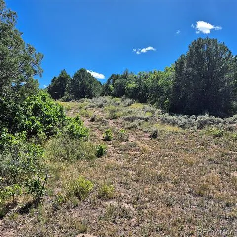 1620 Wildcat Canyon Road Montrose, CO 81403