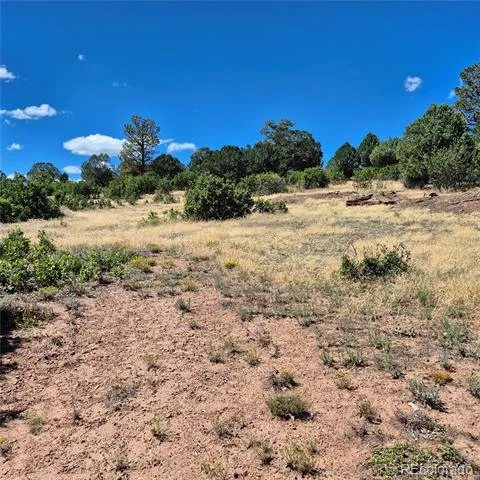 1620 Wildcat Canyon Road Montrose, CO 81403
