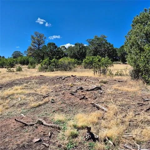 1620 Wildcat Canyon Road Montrose, CO 81403