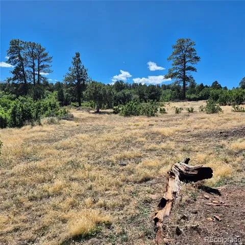 1620 Wildcat Canyon Road Montrose, CO 81403