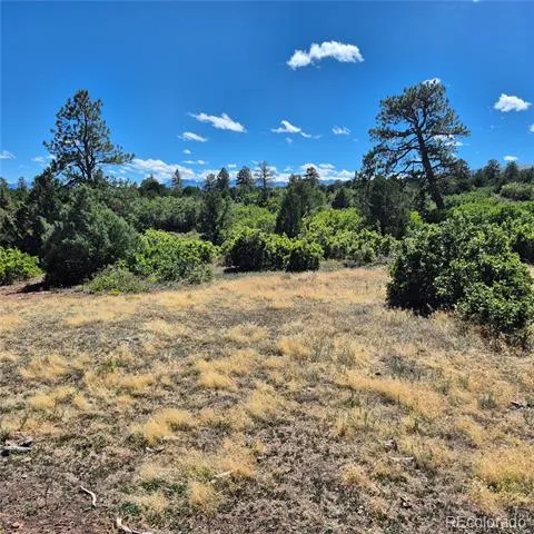 1620 Wildcat Canyon Road Montrose, CO 81403