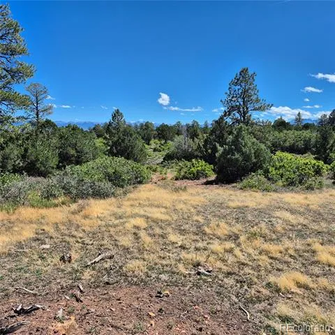 1620 Wildcat Canyon Road Montrose, CO 81403