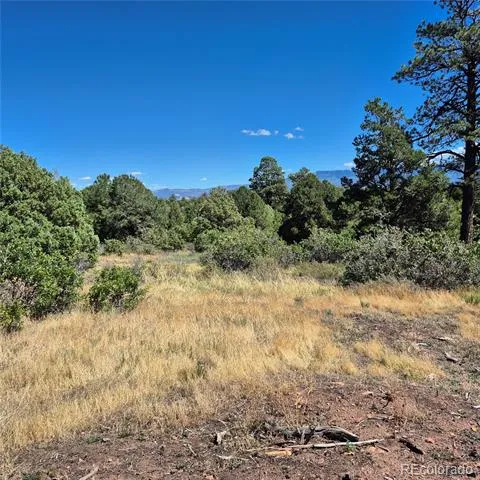 1620 Wildcat Canyon Road Montrose, CO 81403