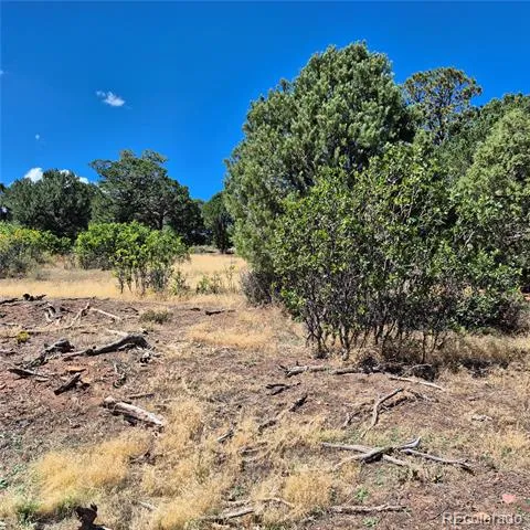 1620 Wildcat Canyon Road Montrose, CO 81403