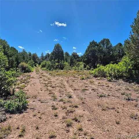 1620 Wildcat Canyon Road Montrose, CO 81403