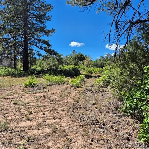 1620 Wildcat Canyon Road Montrose, CO 81403
