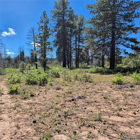 1620 Wildcat Canyon Road Montrose, CO 81403