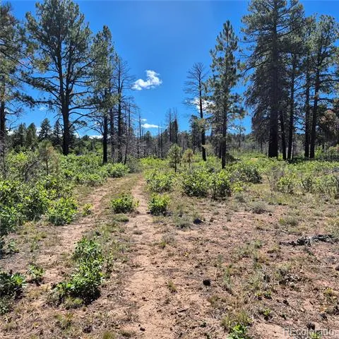 1620 Wildcat Canyon Road Montrose, CO 81403
