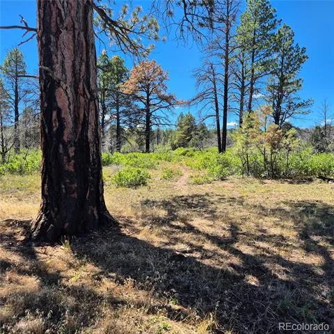 1620 Wildcat Canyon Road Montrose, CO 81403