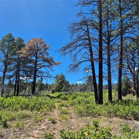 1620 Wildcat Canyon Road Montrose, CO 81403