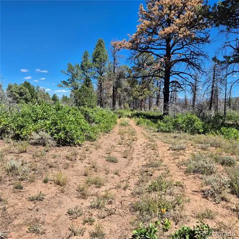 1620 Wildcat Canyon Road Montrose, CO 81403