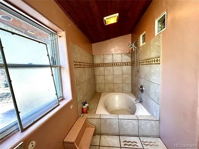 1038 Beaver Trail Crestone, CO 81131