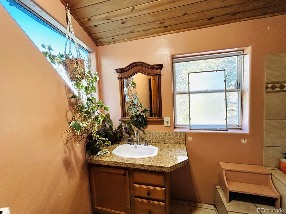1038 Beaver Trail Crestone, CO 81131