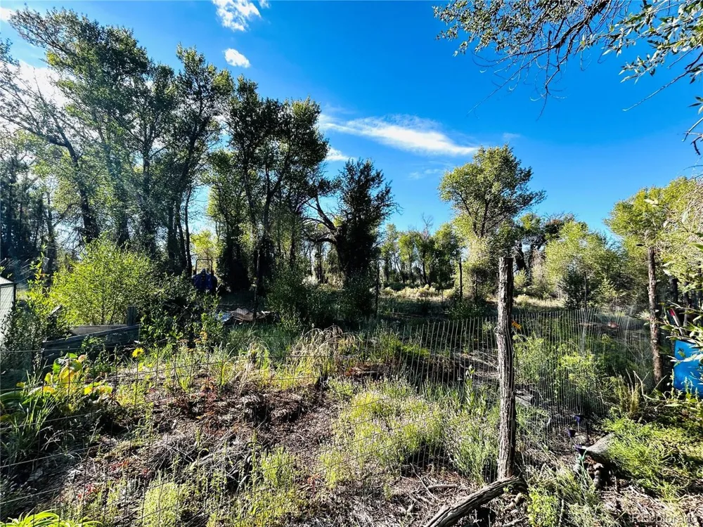 1038 Beaver Trail Crestone, CO 81131