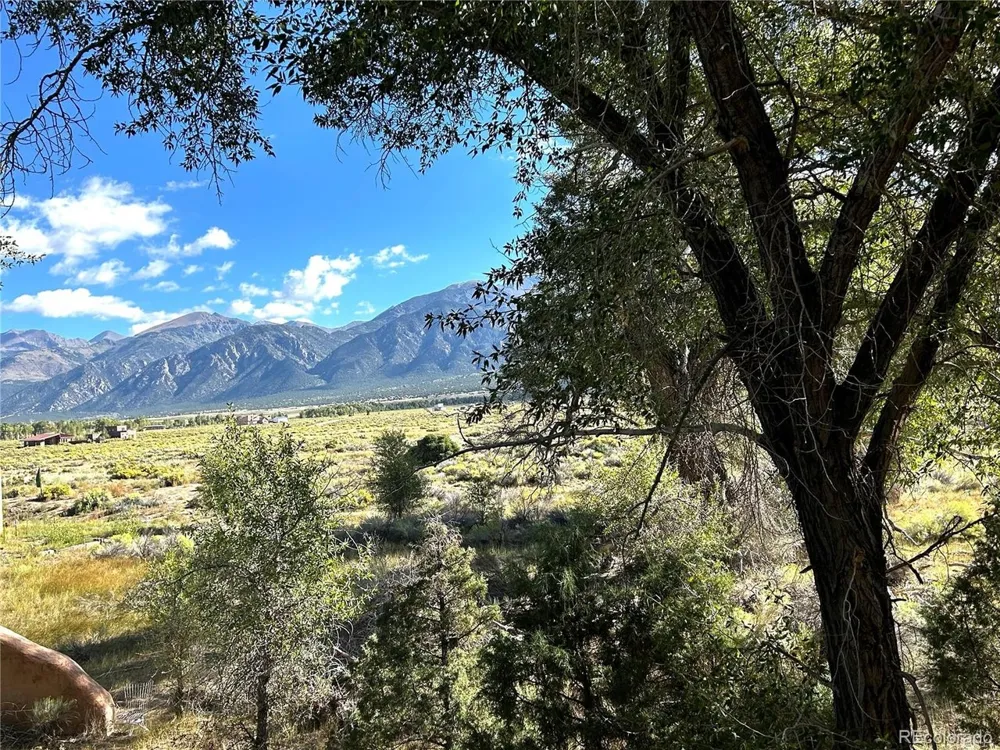 1038 Beaver Trail Crestone, CO 81131