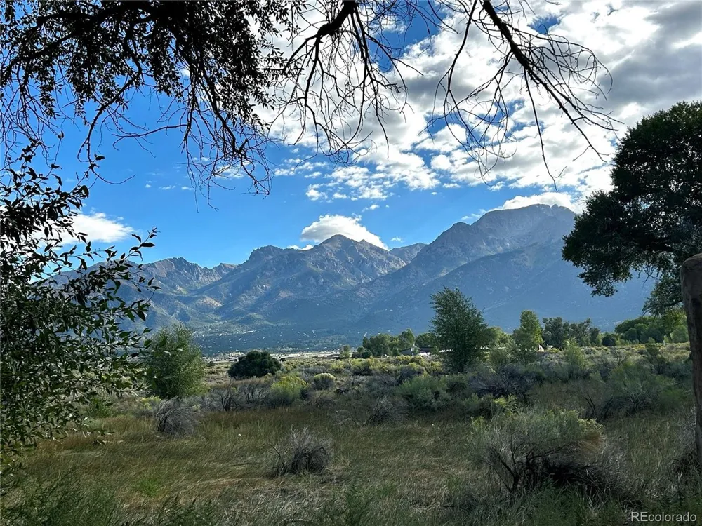 1038 Beaver Trail Crestone, CO 81131