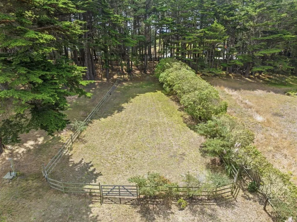 1441 Alamo Street Montara, CA 94037