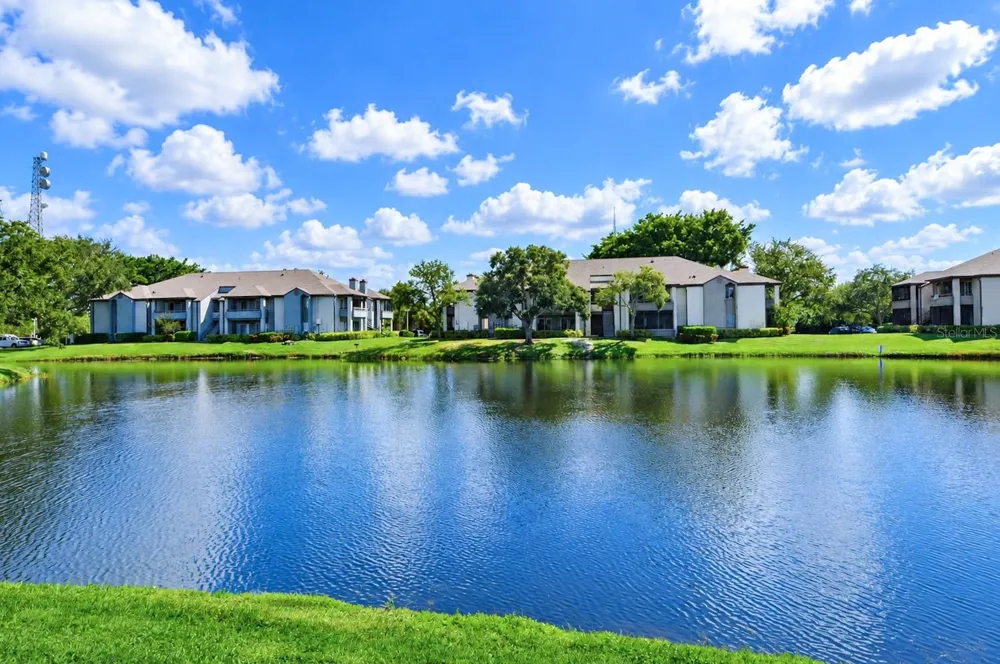 10263 GANDY BOULEVARD #2312 St Petersburg, FL 33702