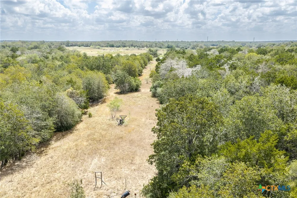 2195 Mule Creek Road Harwood, TX 78632