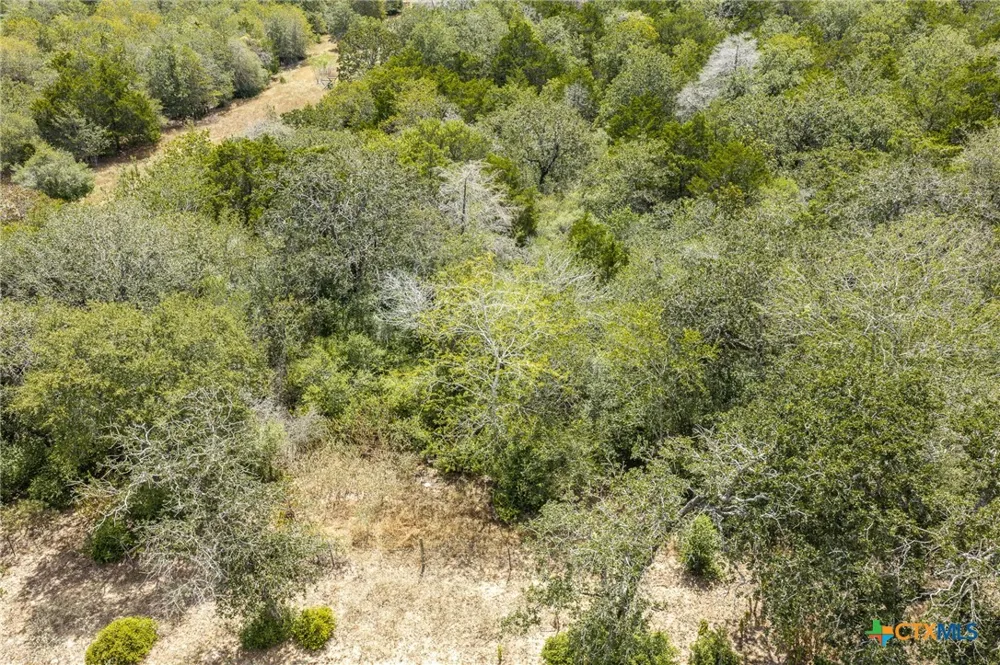 2195 Mule Creek Road Harwood, TX 78632