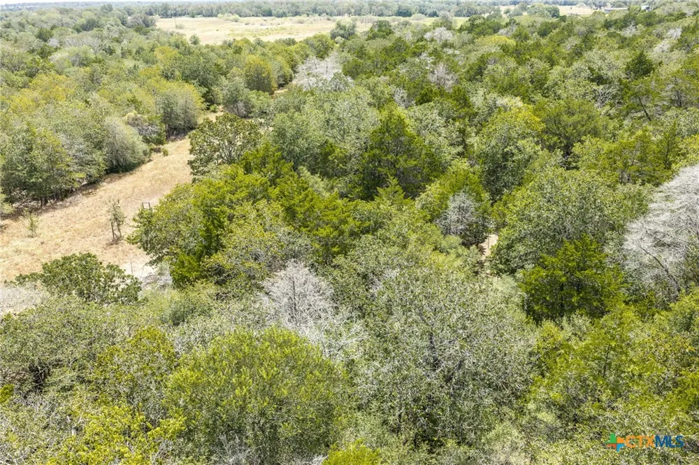 2195 Mule Creek Road Harwood, TX 78632