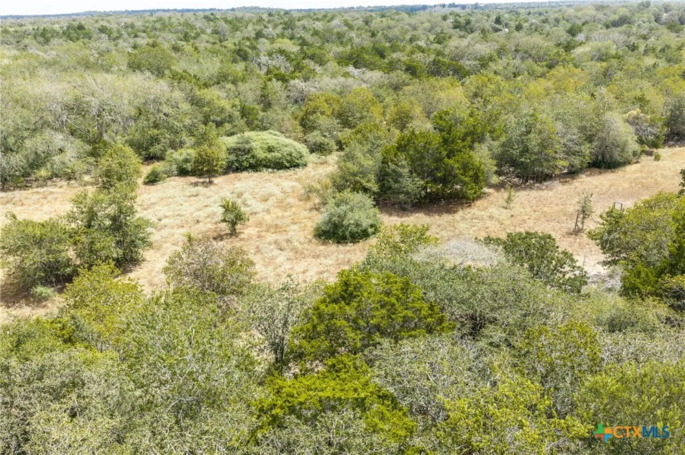 2195 Mule Creek Road Harwood, TX 78632