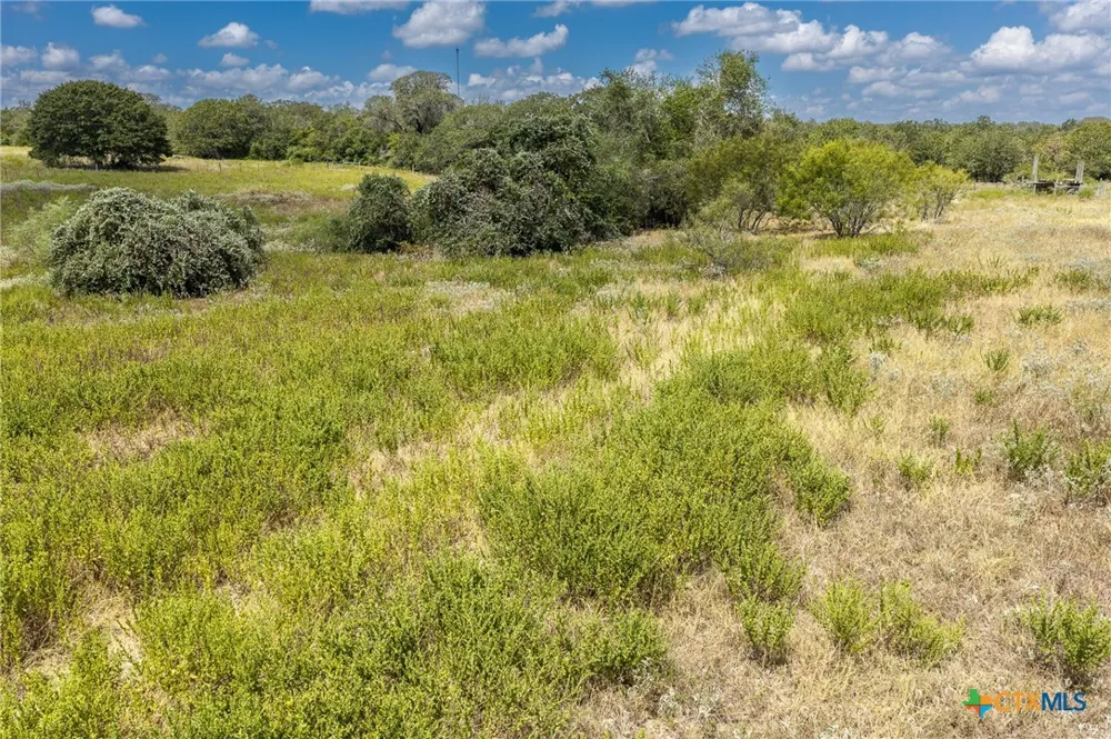 2195 Mule Creek Road Harwood, TX 78632