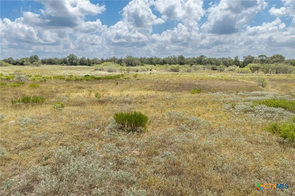 2195 Mule Creek Road Harwood, TX 78632