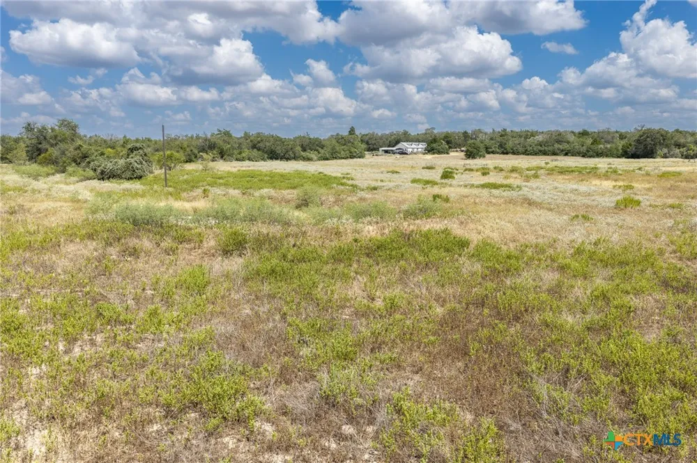 2195 Mule Creek Road Harwood, TX 78632