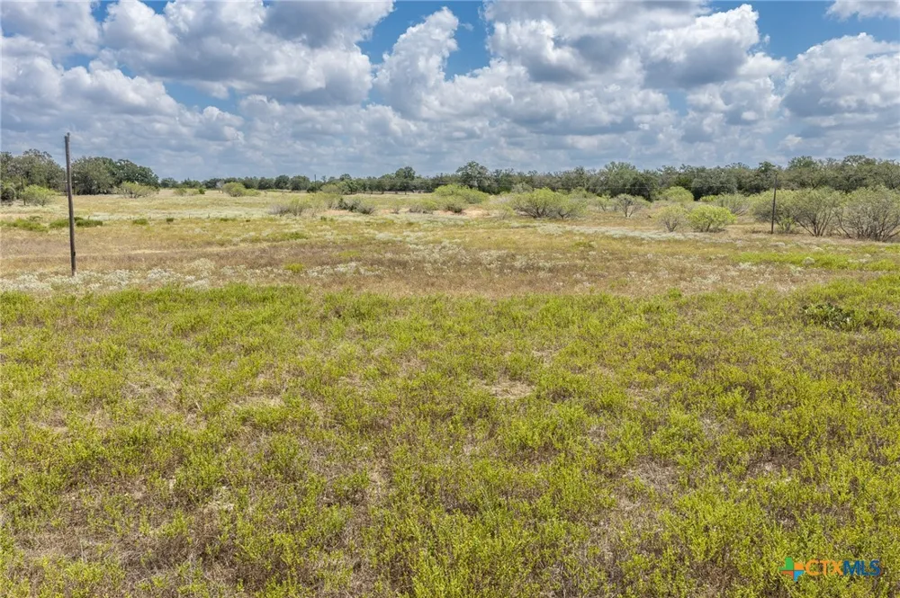 2195 Mule Creek Road Harwood, TX 78632