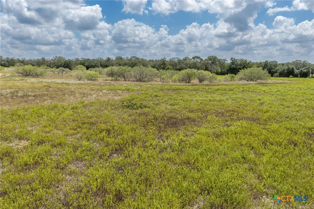 2195 Mule Creek Road Harwood, TX 78632