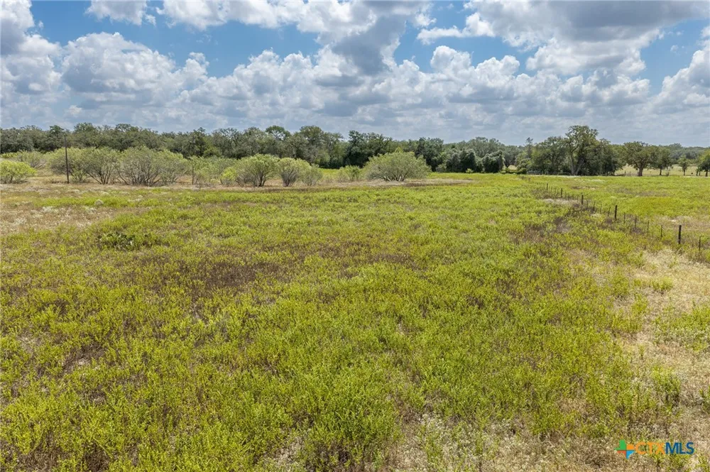2195 Mule Creek Road Harwood, TX 78632