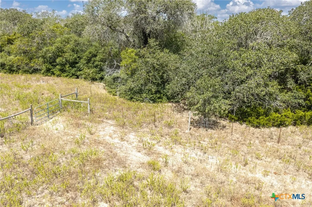 2195 Mule Creek Road Harwood, TX 78632