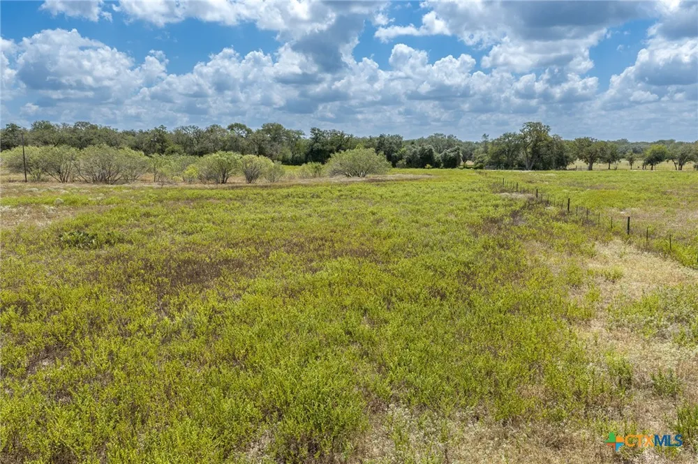 2195 Mule Creek Road Harwood, TX 78632