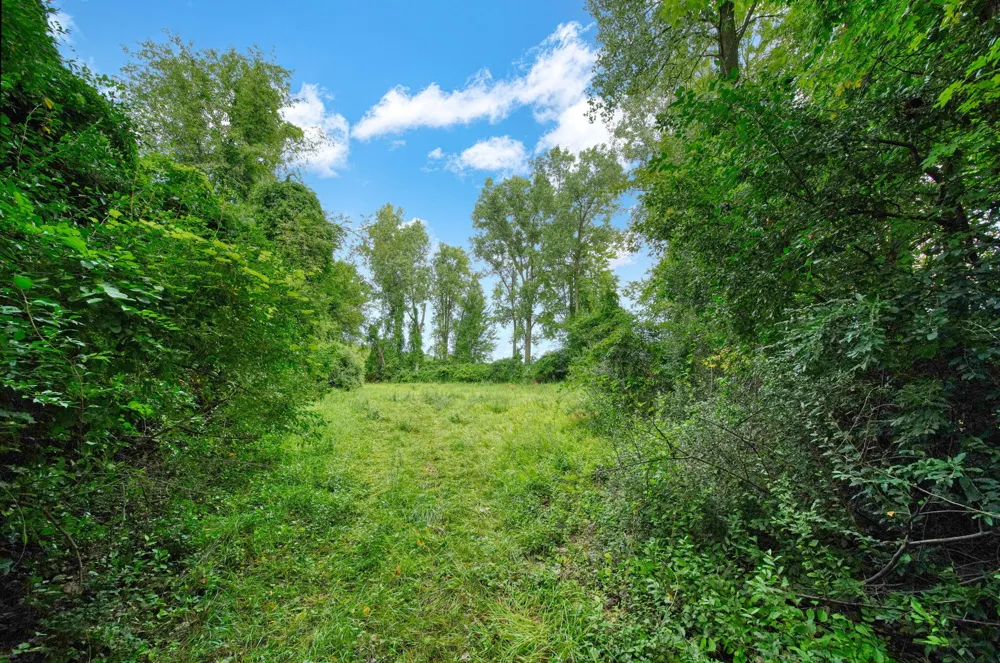 5096 Page Avenue Jackson, MI 49201