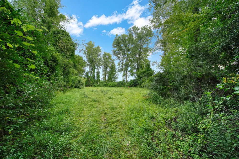 5096 Page Avenue Jackson, MI 49201