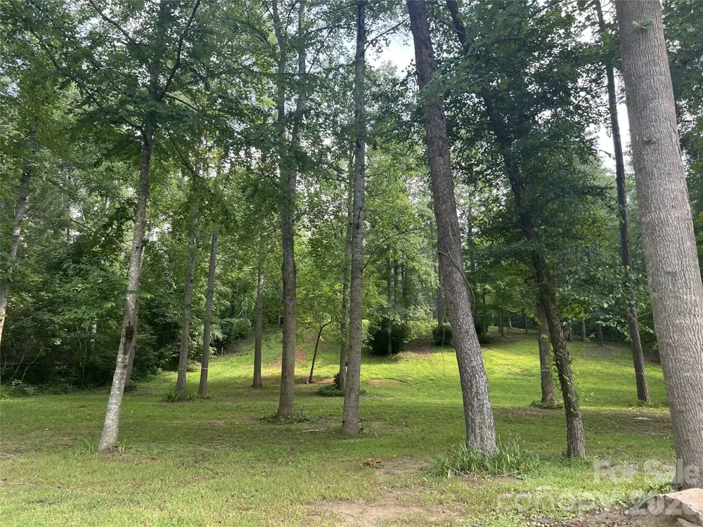 99999 Sunnybrook Drive #10-R Asheville, NC 28805