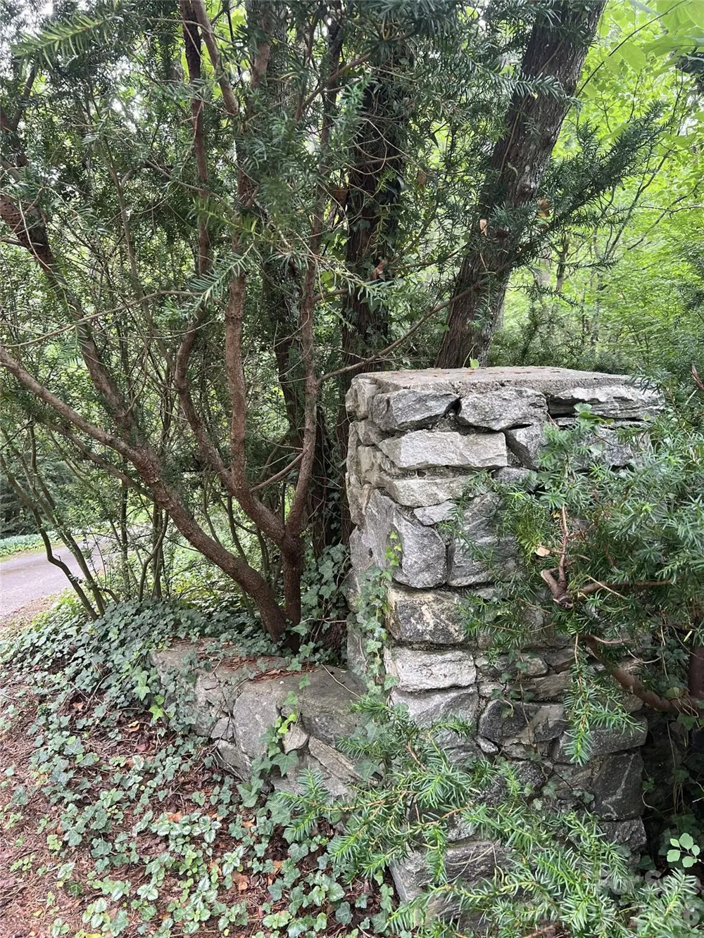 99999 Sunnybrook Drive #10-R Asheville, NC 28805