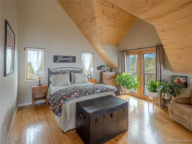 13072 County Road 261 Nathrop, CO 81236