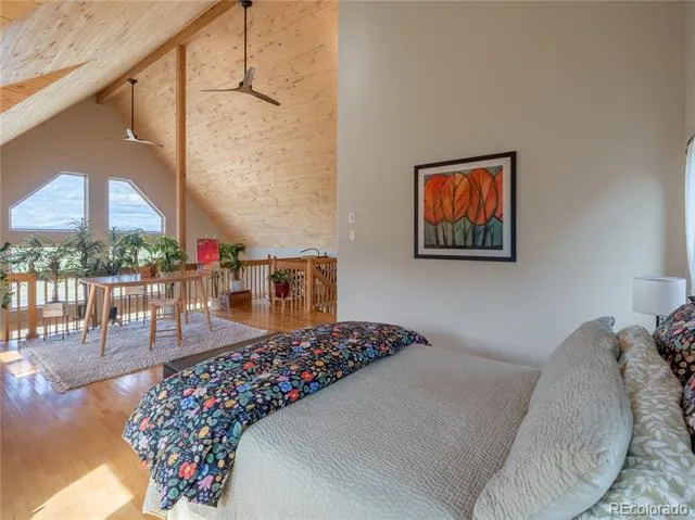 13072 County Road 261 Nathrop, CO 81236