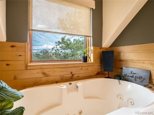 13072 County Road 261 Nathrop, CO 81236