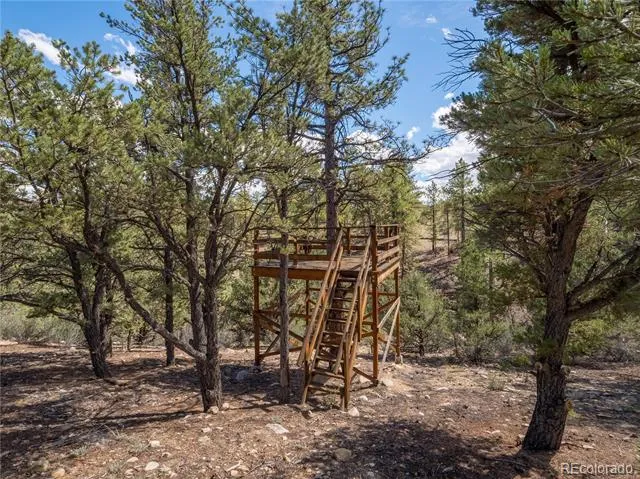 13072 County Road 261 Nathrop, CO 81236