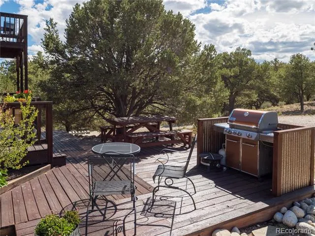 13072 County Road 261 Nathrop, CO 81236