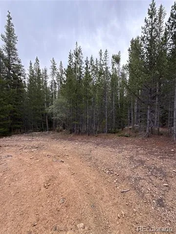 111 Green Court Idaho Springs, CO 80452